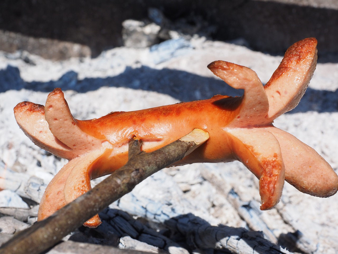 香港公园猴子离奇死亡事件